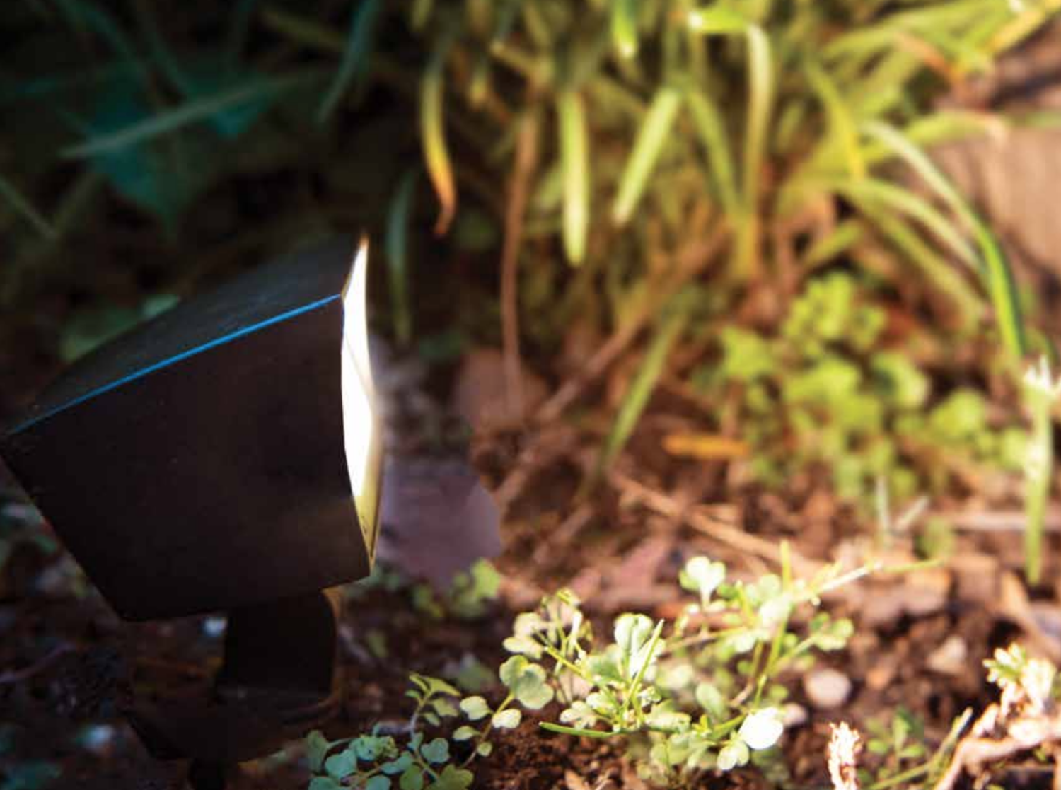 BBL_Outdoor_Lighting_11_SAMPLE.png