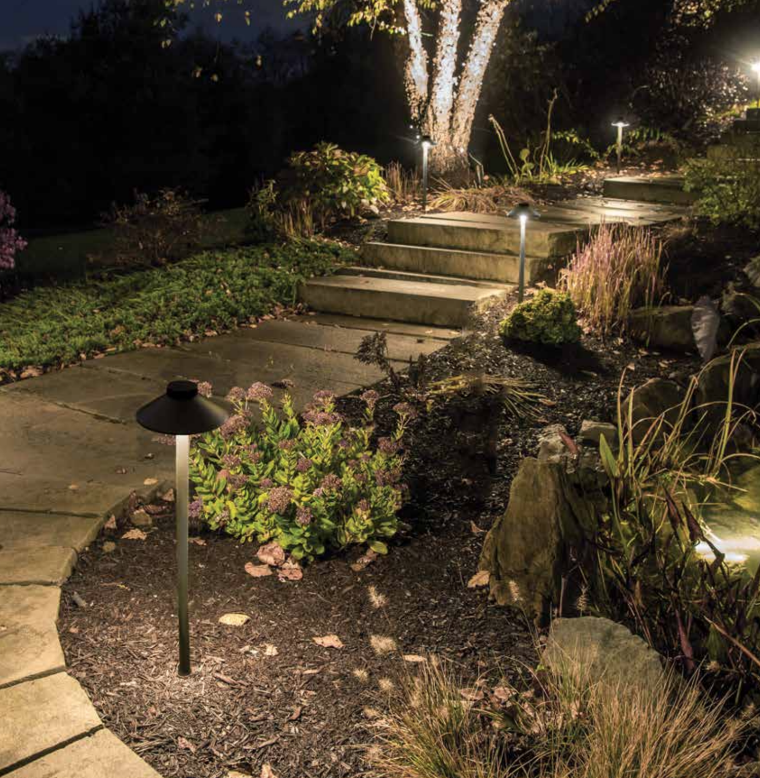 BBL_Outdoor_Lighting_19_SAMPLE.png