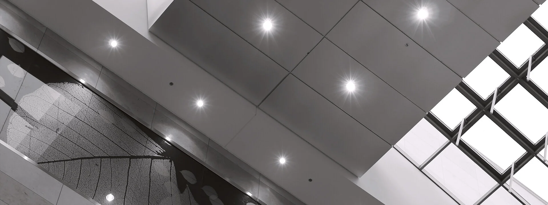 BBL_Architectural_15.jpg