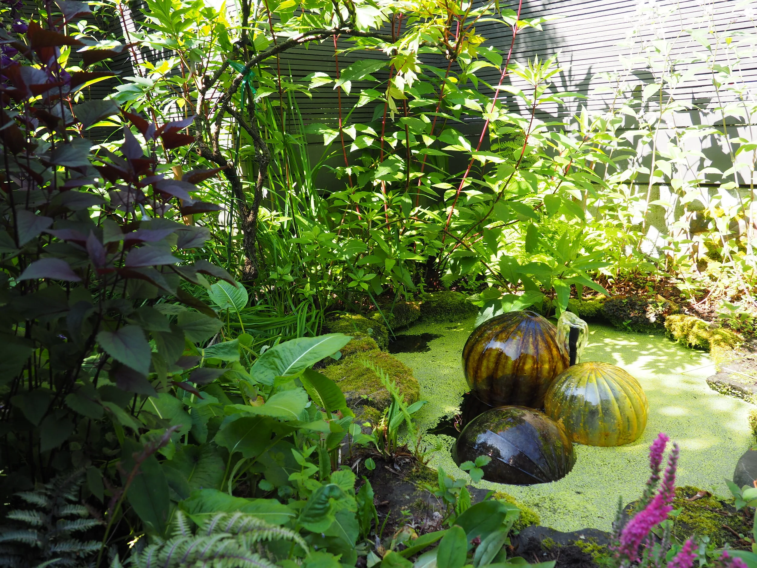 Mt. Baker Garden Tour