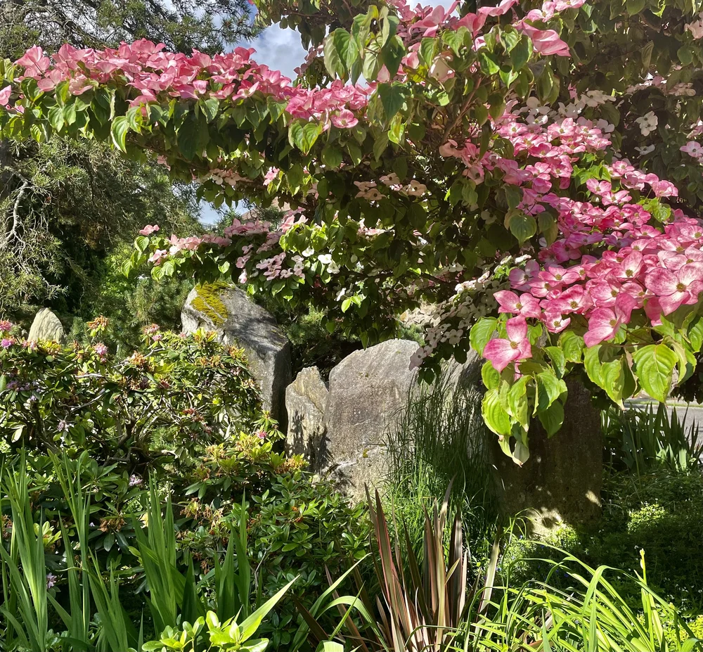 About Us — Mount Baker Garden Tour and Summer Festival