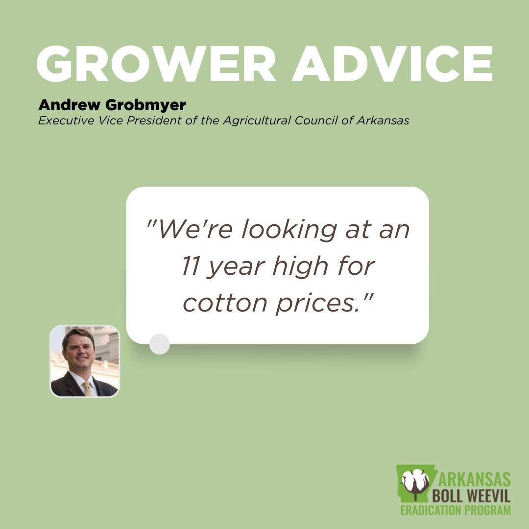 Executive Vice President of @agcouncilofa, Andrew Grobmyer, stopped by to chat with us and share his #cotton industry insights. Follow the link in our bio to learn more about his thoughts as we push ahead this season.
