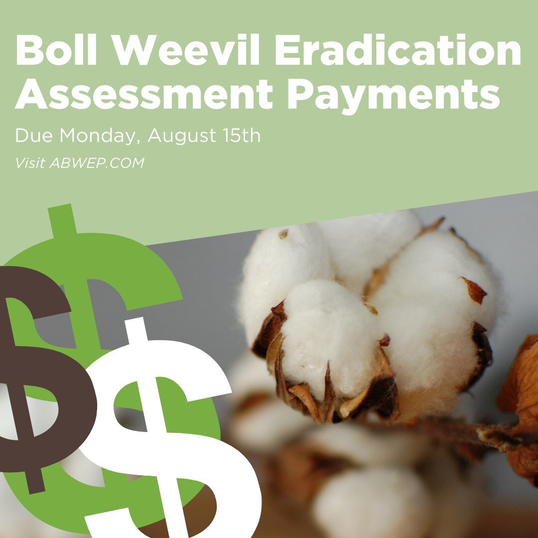 DEADLINE ALERT: Monday is the last day to pay your Boll Weevil Eradication assessment. Link in bio to pay online!