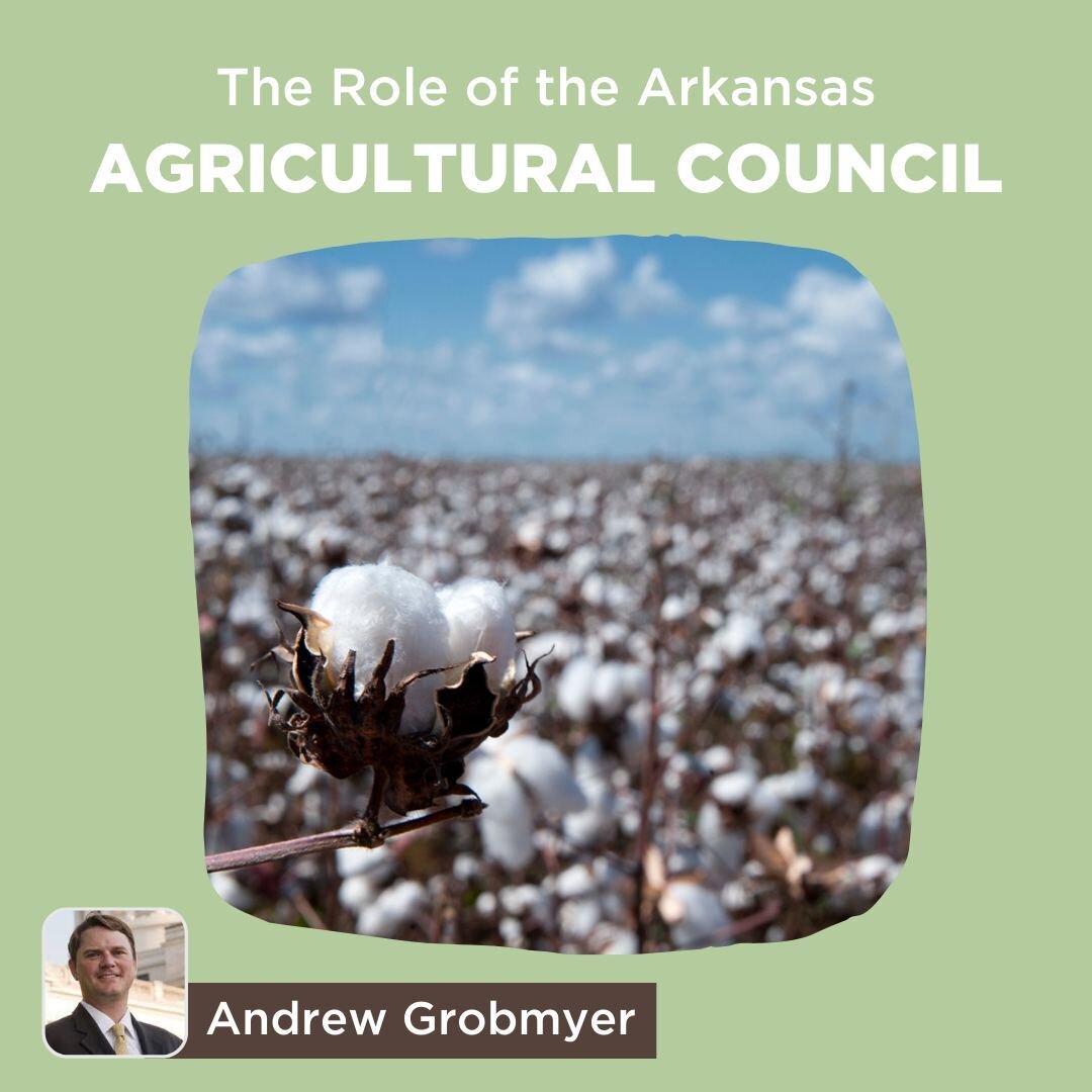 Andrew Grobmyer, Executive Vice President of @agcouncilofa, shares how the council contributes to the success of the #cotton industry. Follow the link in our bio to watch and learn more!

#arkansascotton #agcouncil #arkansasagriculutre