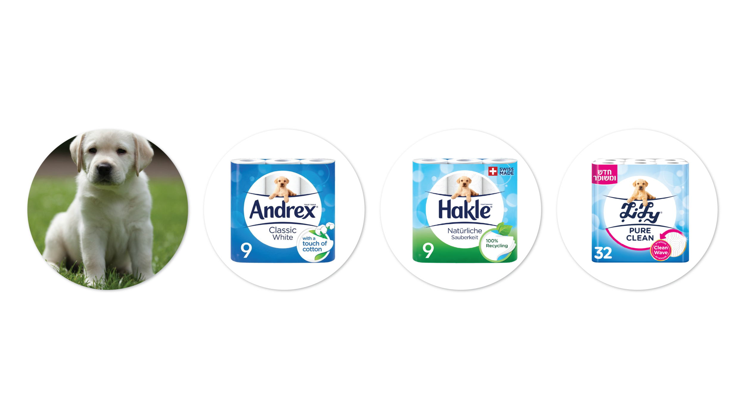 Andrex Packaging 30 Years of Building Equity | Sterling Brands