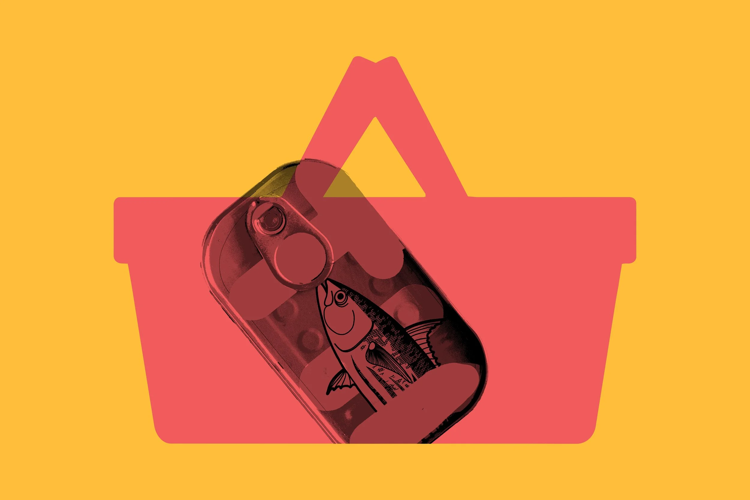 A Gen Z Perspective on Packaging and Branding
