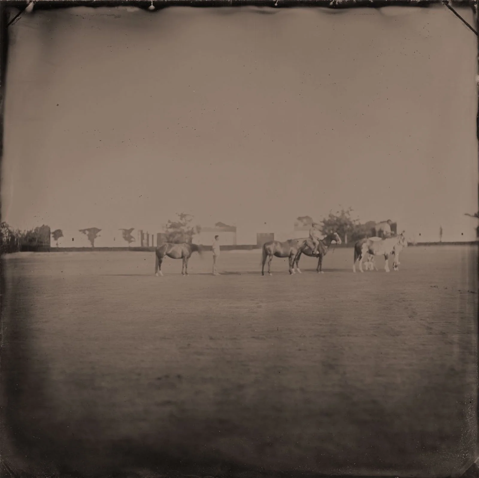 polo-10.jpg
