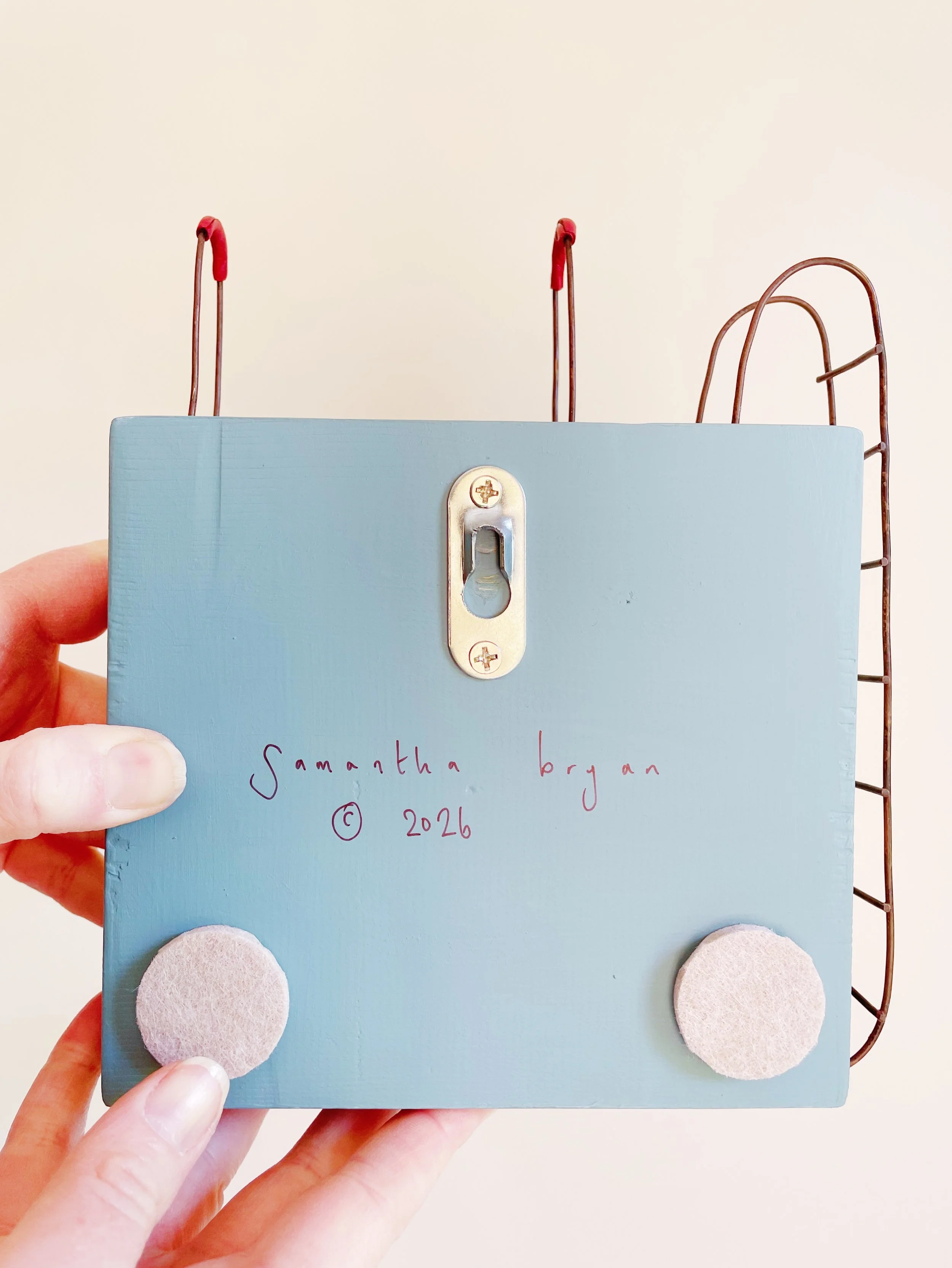 Sergio Fairy Launch Facilty 5.jpg