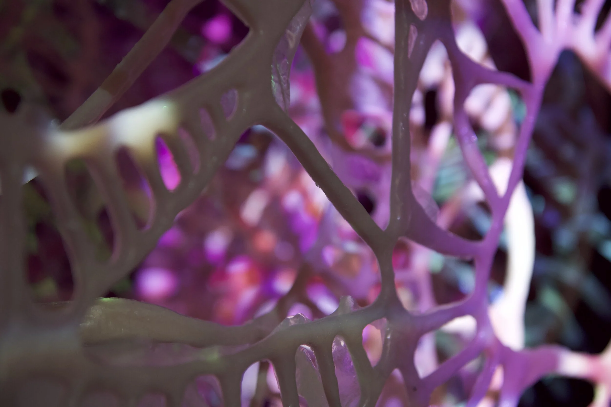 2019-12-3-tuesday after-165-2.jpg