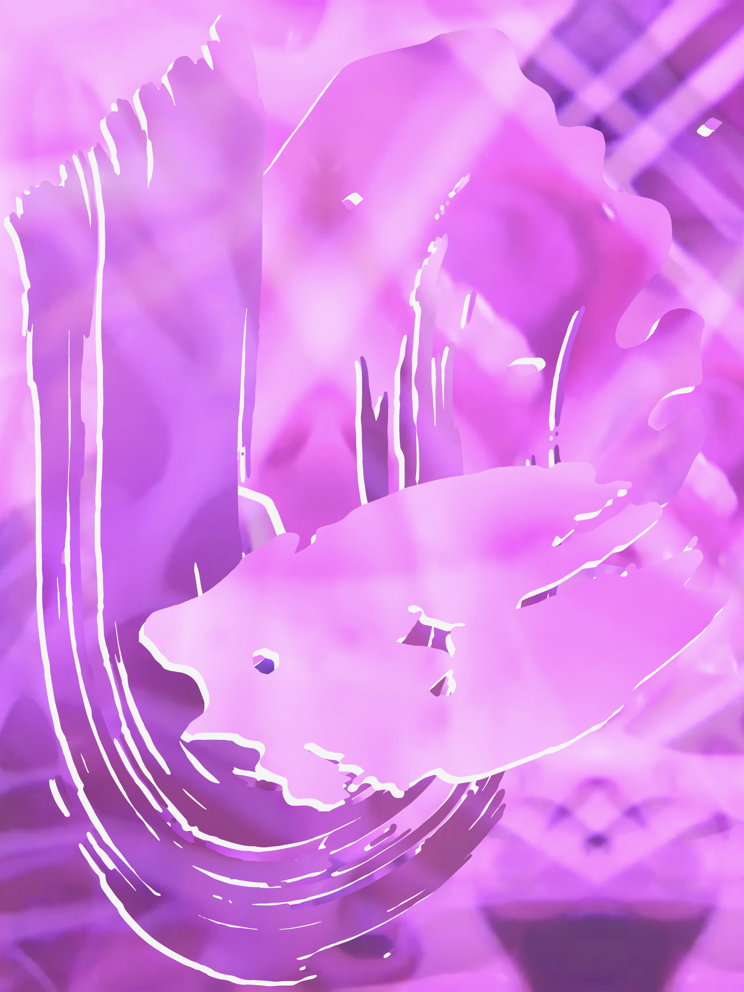 8.png