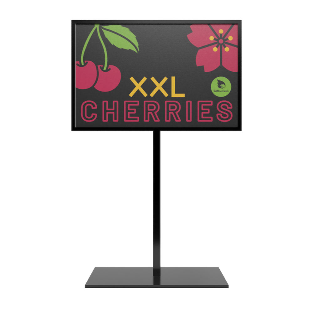 XXL-Cherries-Info_Card-11x7-.ng