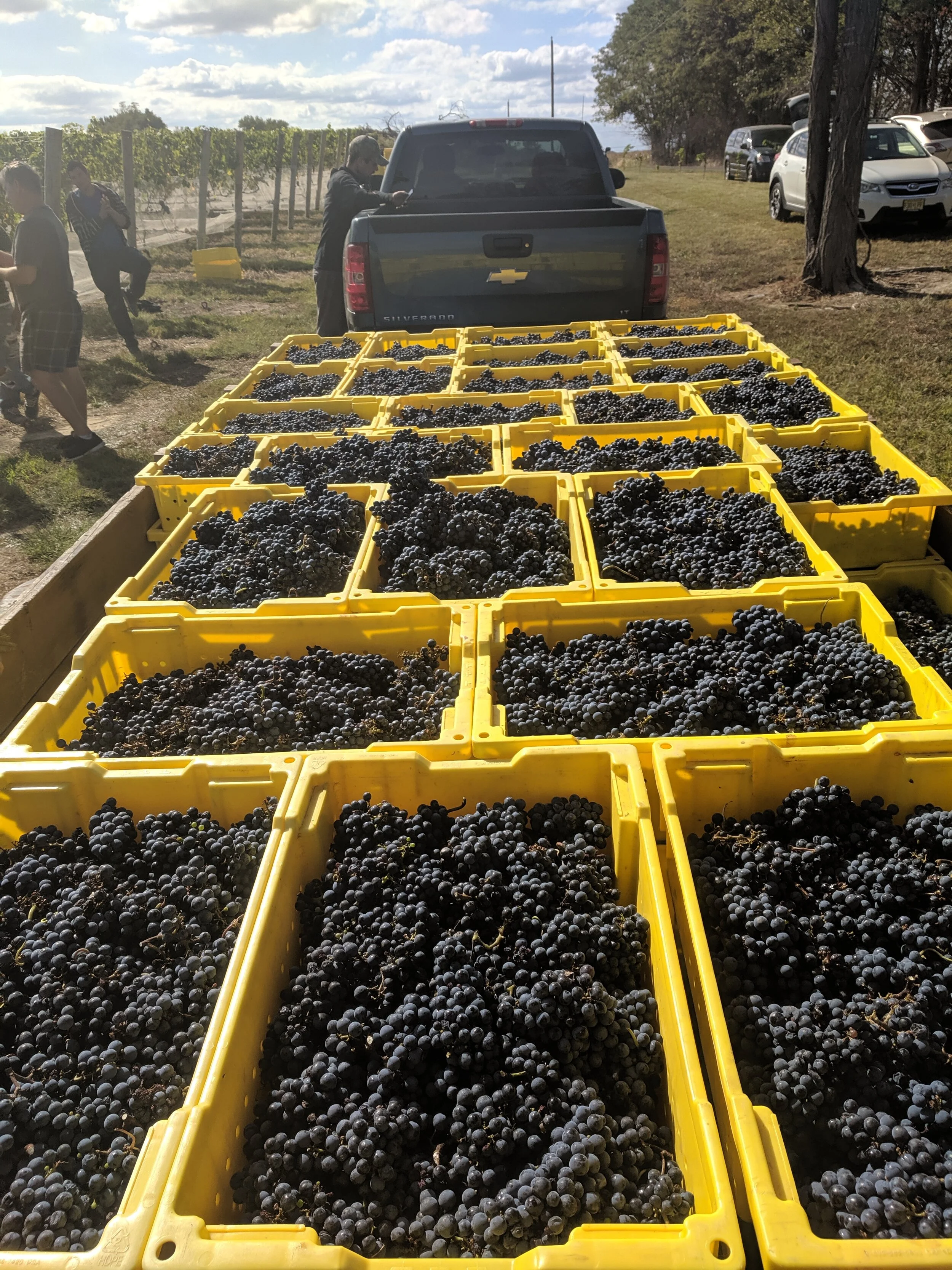 Our Story — Love Point Vineyards and Winery