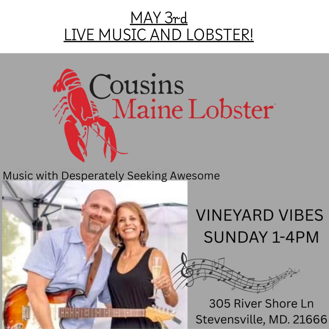 Vineyard Vibes with Desperately Seeking Awesome and Cousins Maine Lobster