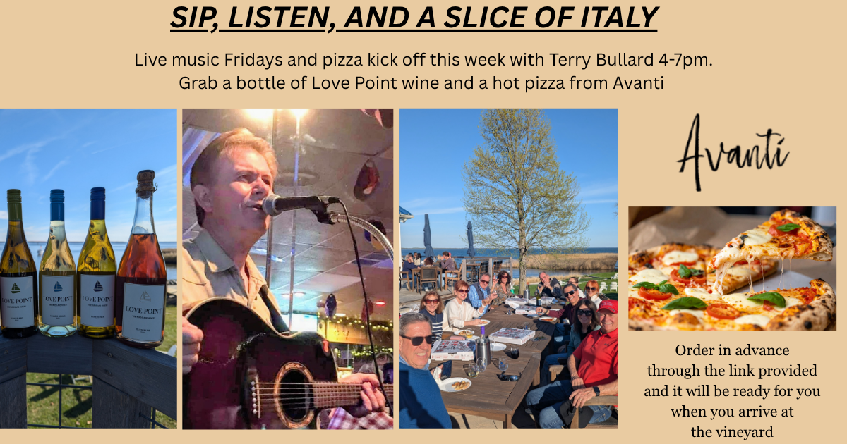 Avanti Pizza and Live Music with Terry Bullard