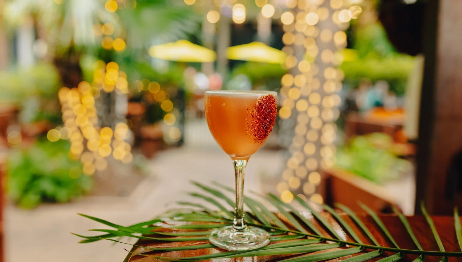 Drink Sidecar Patio & Oyster Bar New Orleans, LA