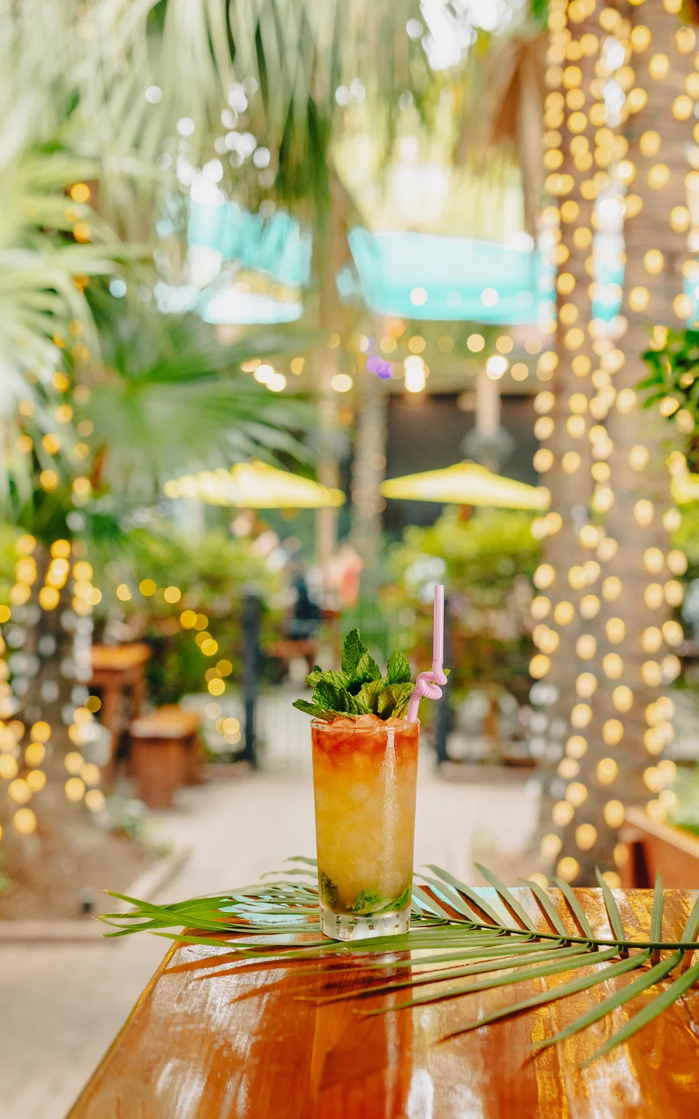 Sidecar Patio & Oyster Bar New Orleans, LA