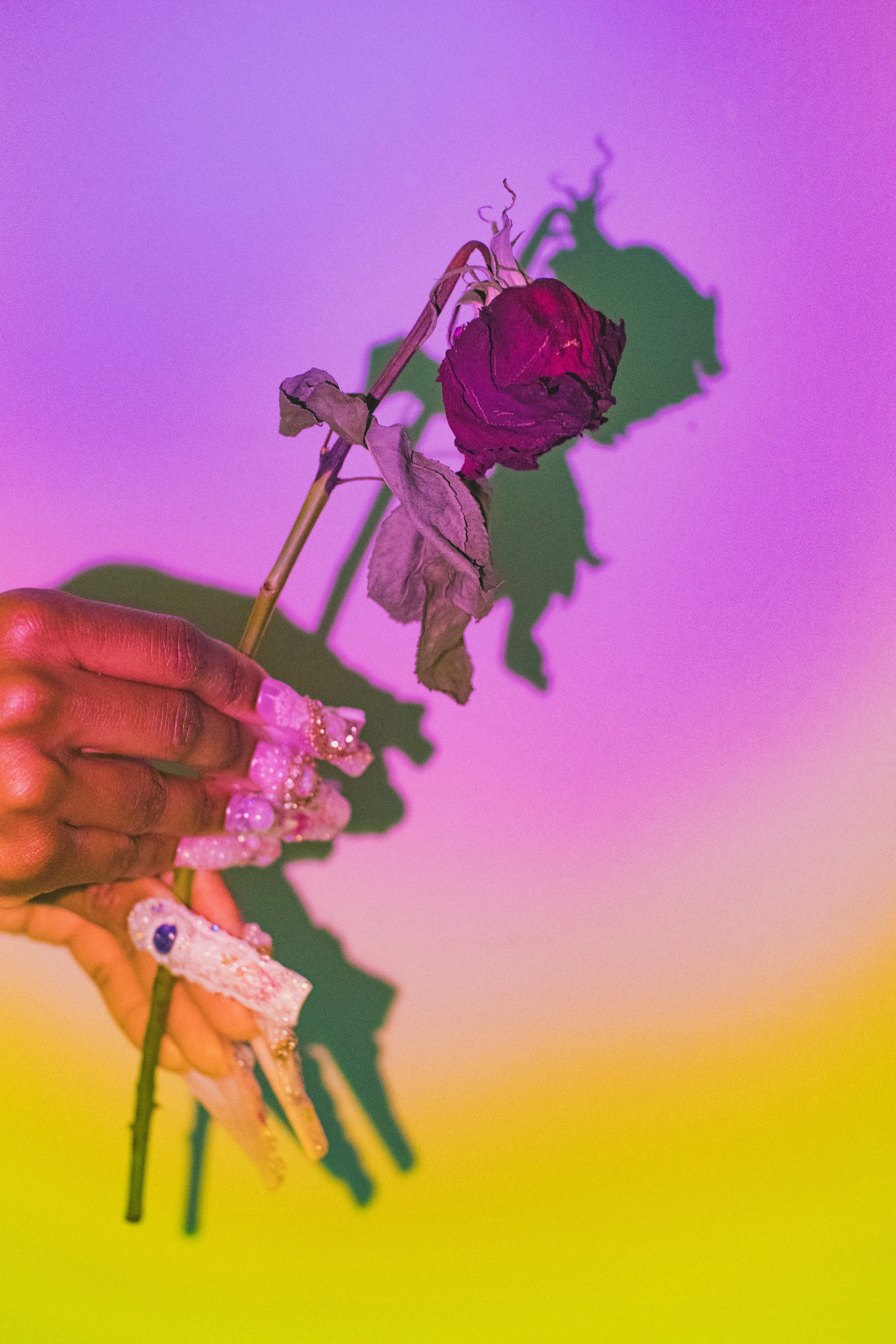 45D941EC-2711-45E5-B767-DAC6A5C7E9D6 2.JPEG