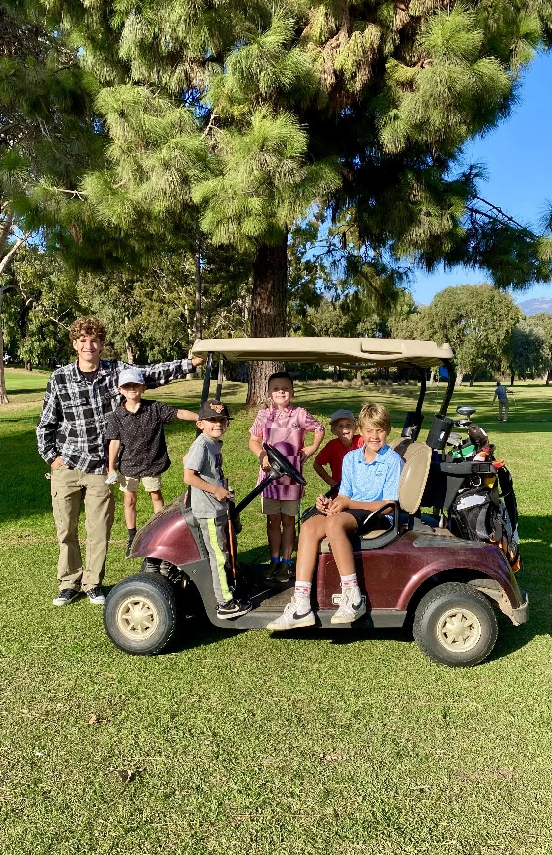 junior golf post cart.PNG