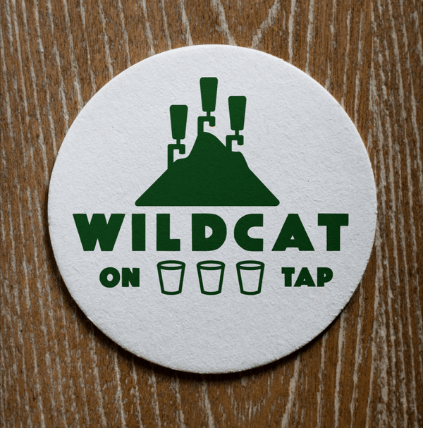 Wildcat Mountain