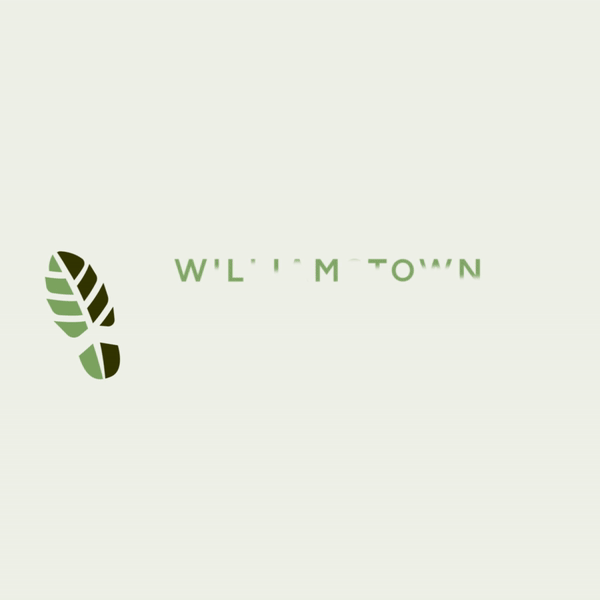 WILLIAMSTOWN RURAL LANDS