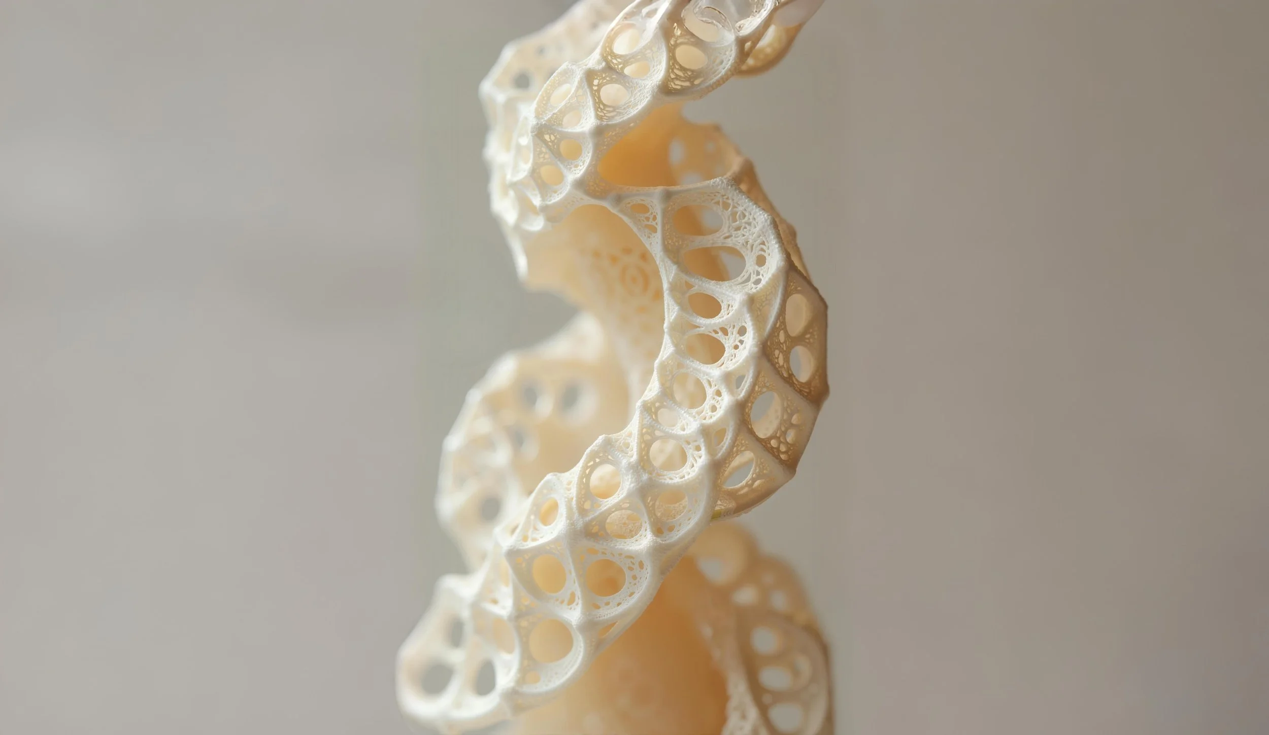 silk dna b.jpg