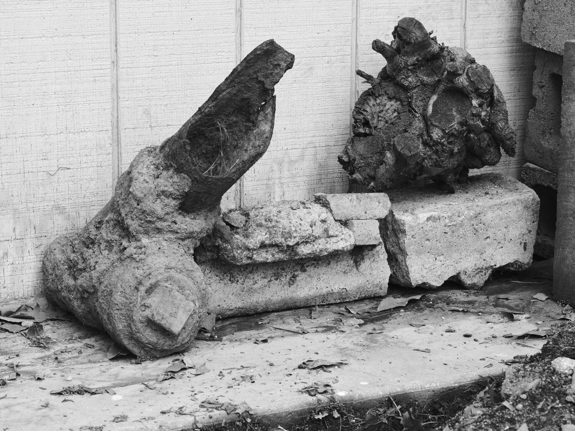 Plumbing and Root, Pasadena, CA - 2026