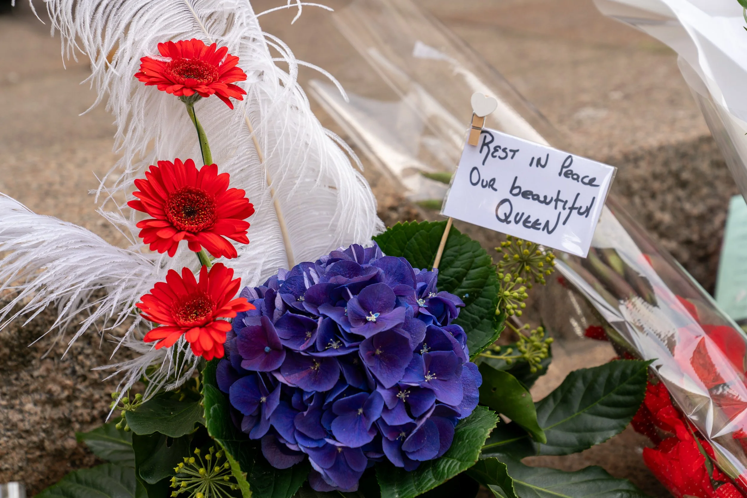 Elizabeth II Commemoration_03.jpg