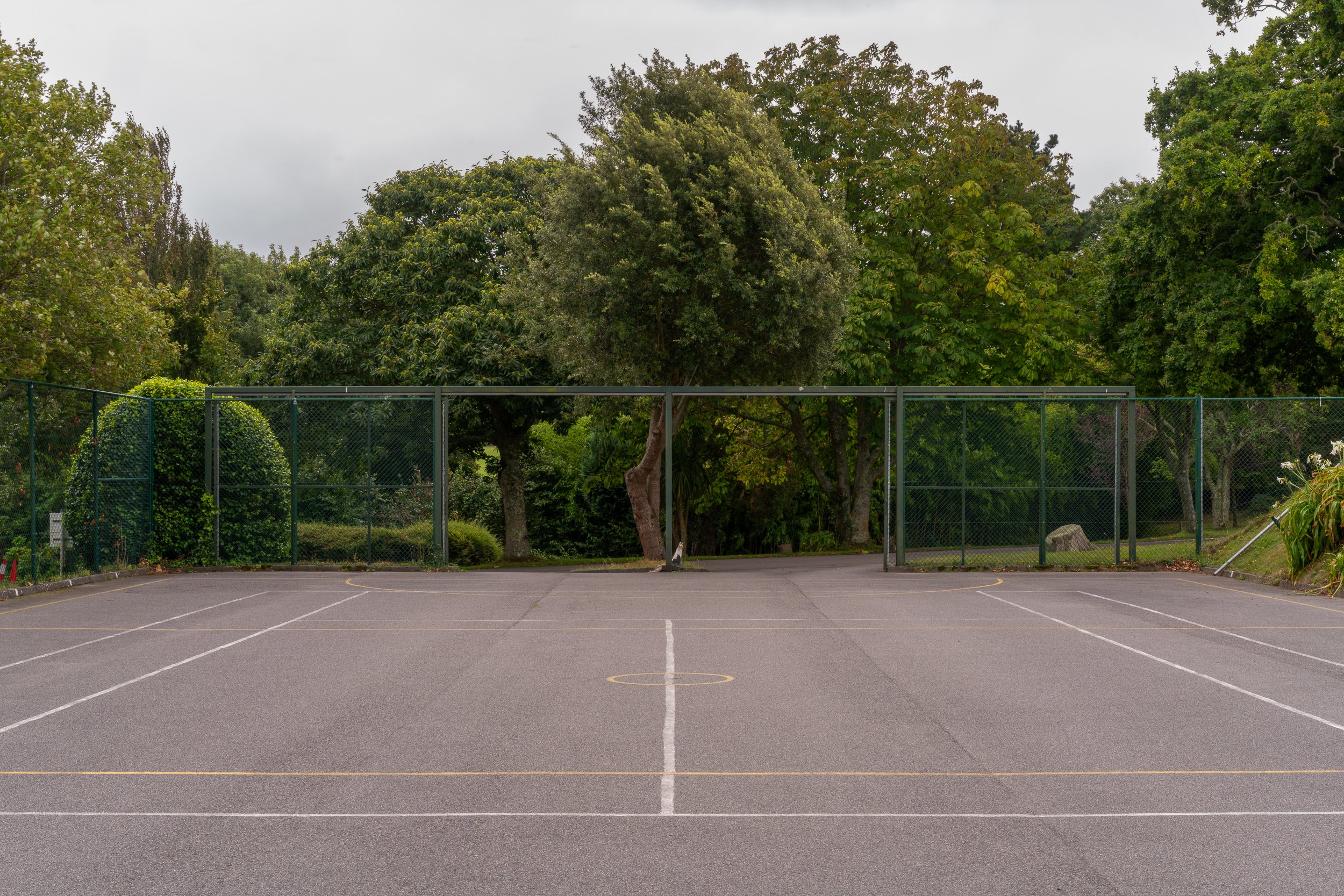 Sports Spaces_003.jpg