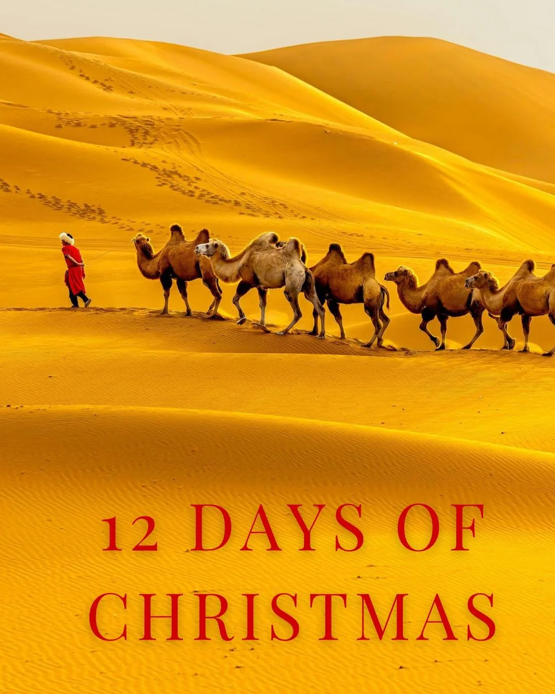 Christmas in the Sahara or Namib Desert&mdash;yes, please! 🌌 Would you celebrate here?

 #DesertChristmas #AfricanAdventure #FestiveEscape
#wildatheartjourneys #wolvedans