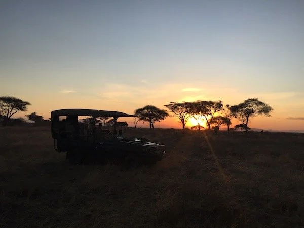 Make 2026 the Year you Discover Afica