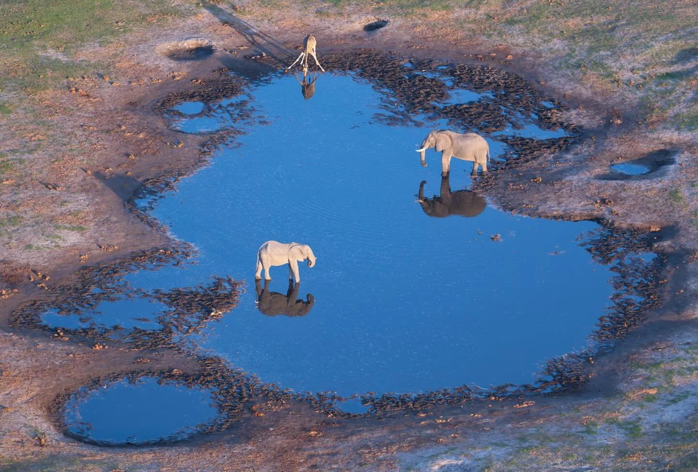 reflections, and a moment suspended in time.
 #africantravel #botswana #safari