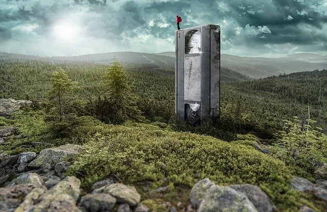 What Is The First Disney VHS?