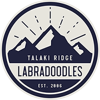 Talaki Ridge Labradoodles