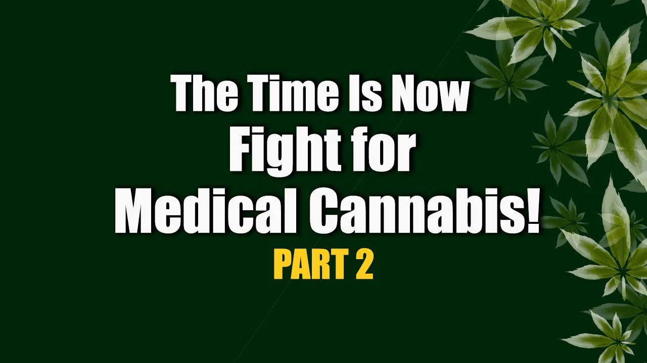 Patient Cannabis Rights Under Pressure: Steph Sherer Part 2