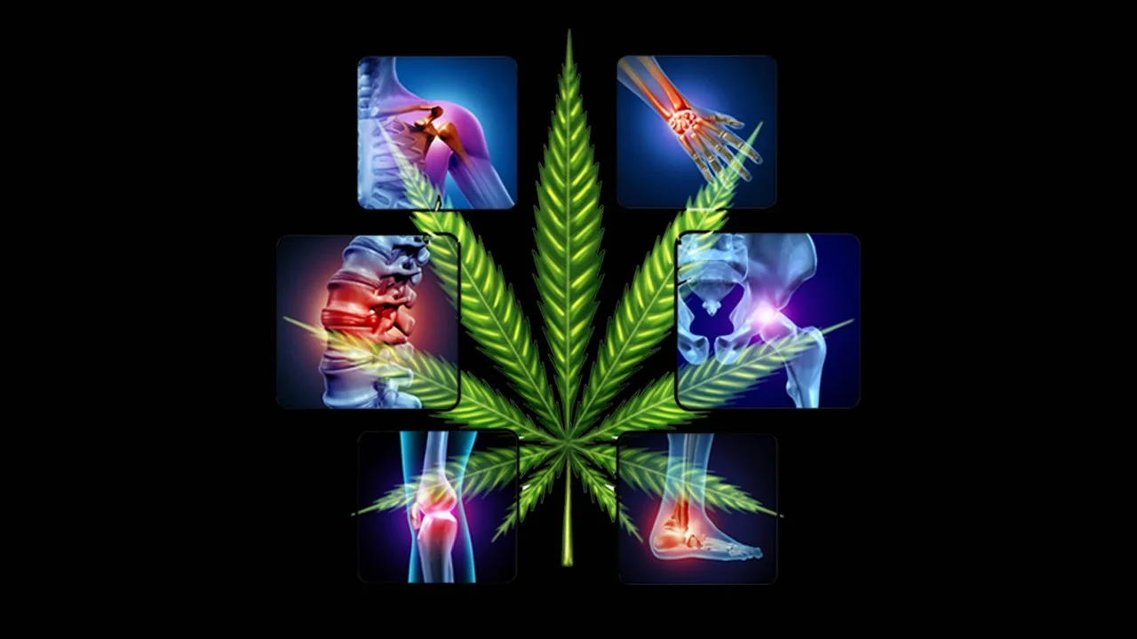 How Cannabis Nurses Are Changing Patient Care | Katherine Golden