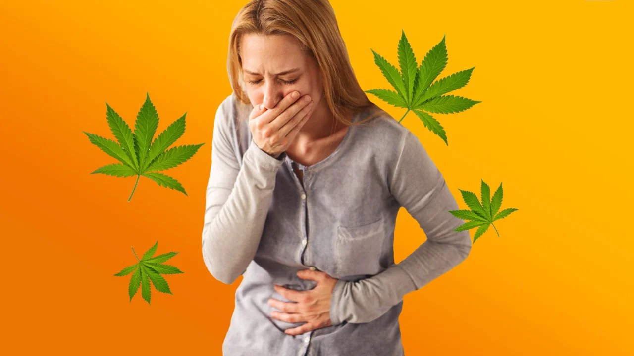 Is Cannabis Being Misunderstood with Kyle Boyar