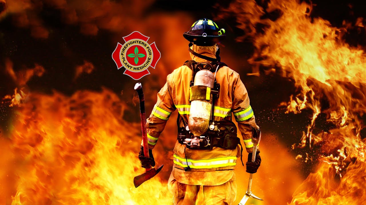This Firefighter Says Plant Medicine Saved His Life: Paul Walton