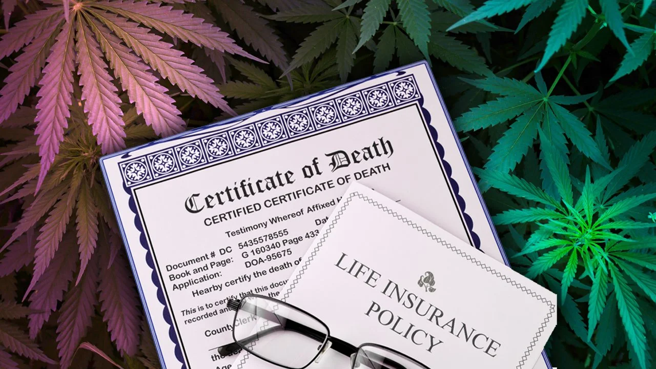 THC in Your System: Can Your Life Insurance Claim Be Denied?