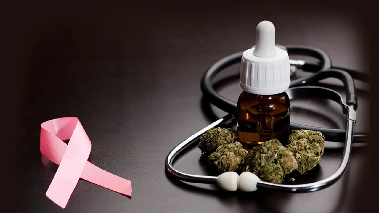 Why Are Patients Still Afraid to Tell Their Doctors They Use Cannabis? | Jessica Humphreys