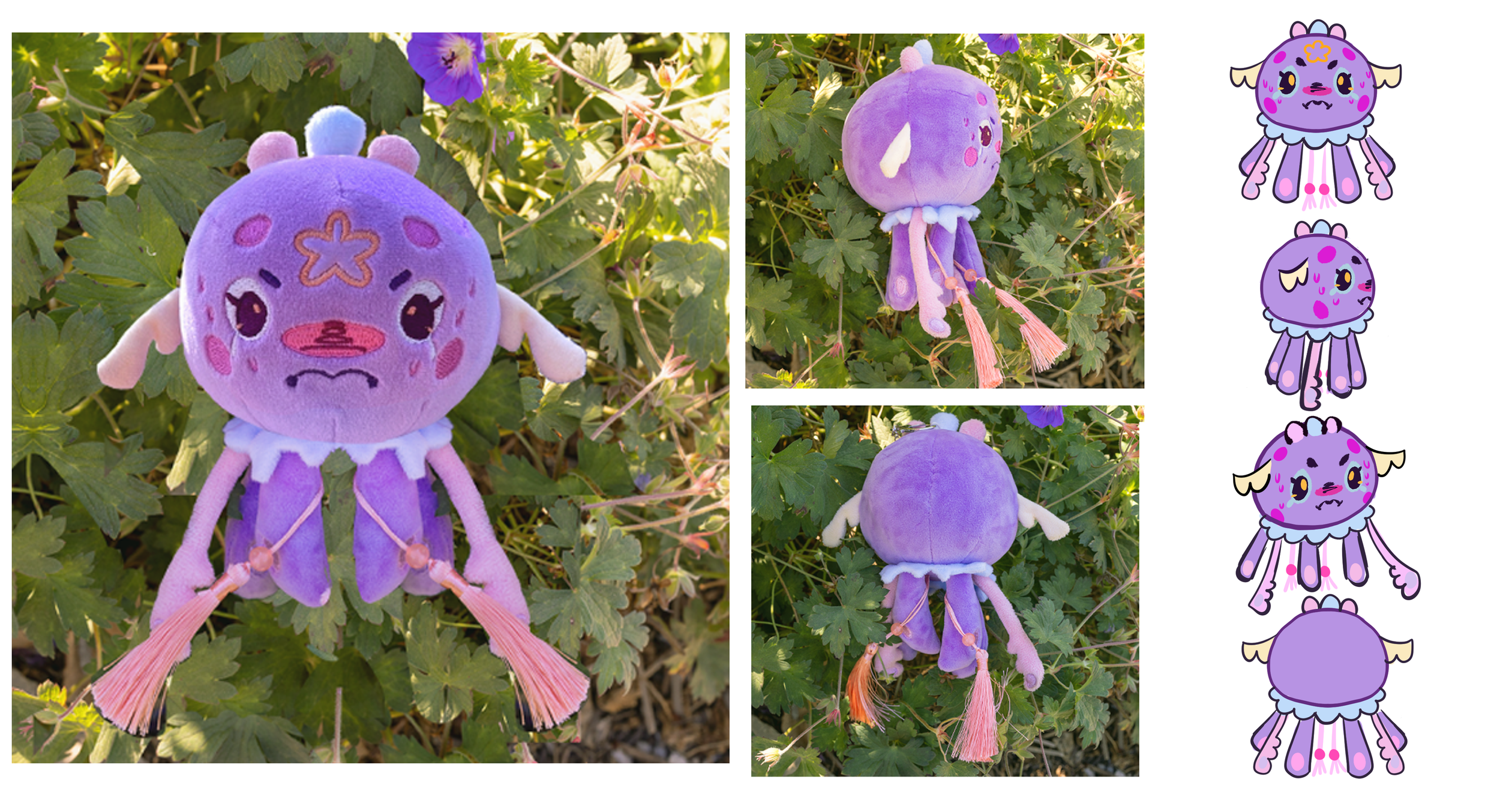 Portfolio Jelly 2.png