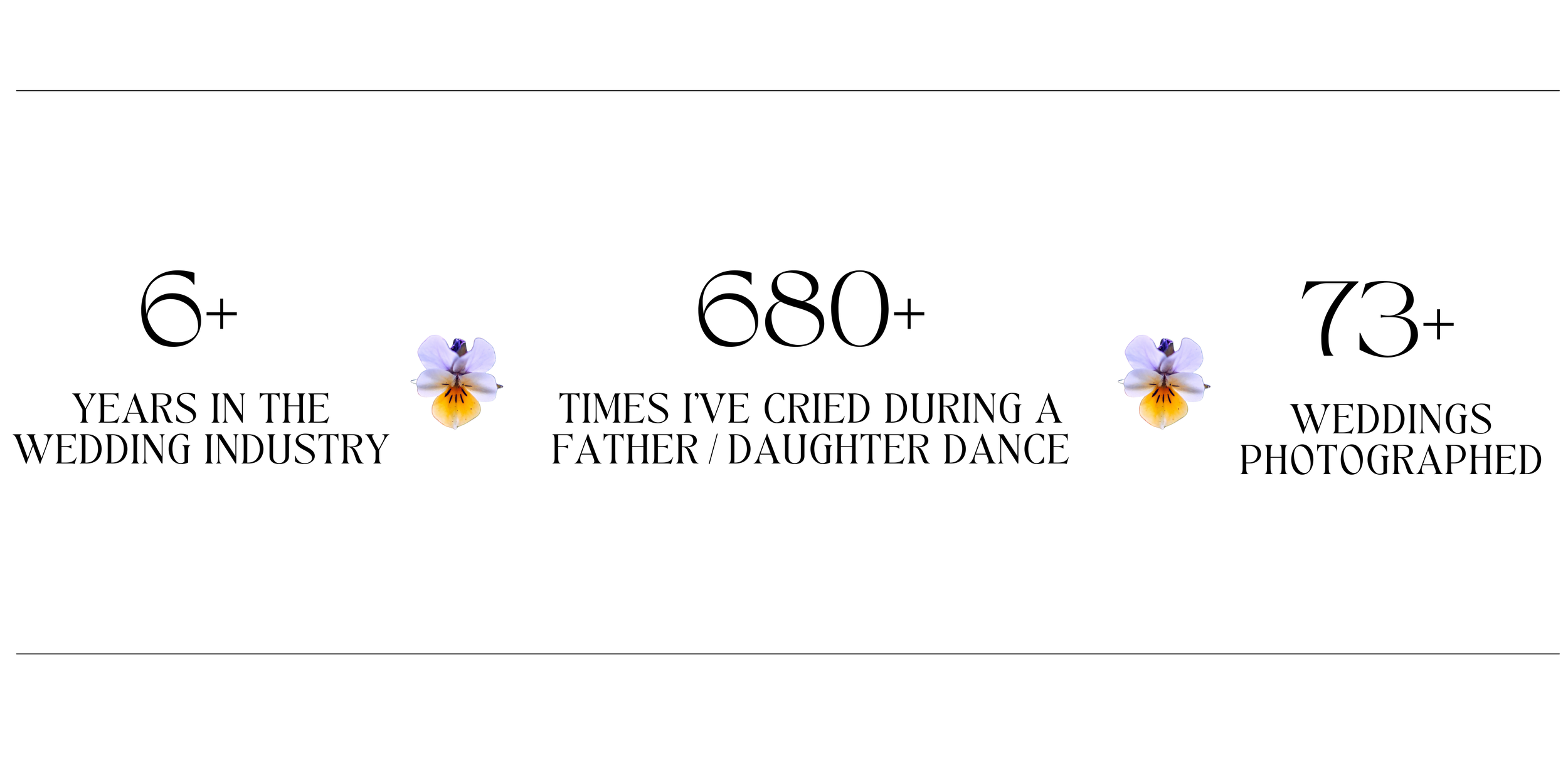 Statistics about wedding photography: over 6 years in the wedding industry, more than 680 times crying during a parent or daughter dance, and over 73 weddings photographed, with decorative floral accents.