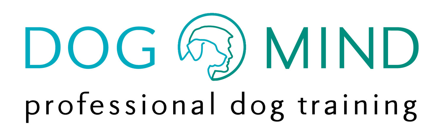 Dog Mind Professional Dog Training