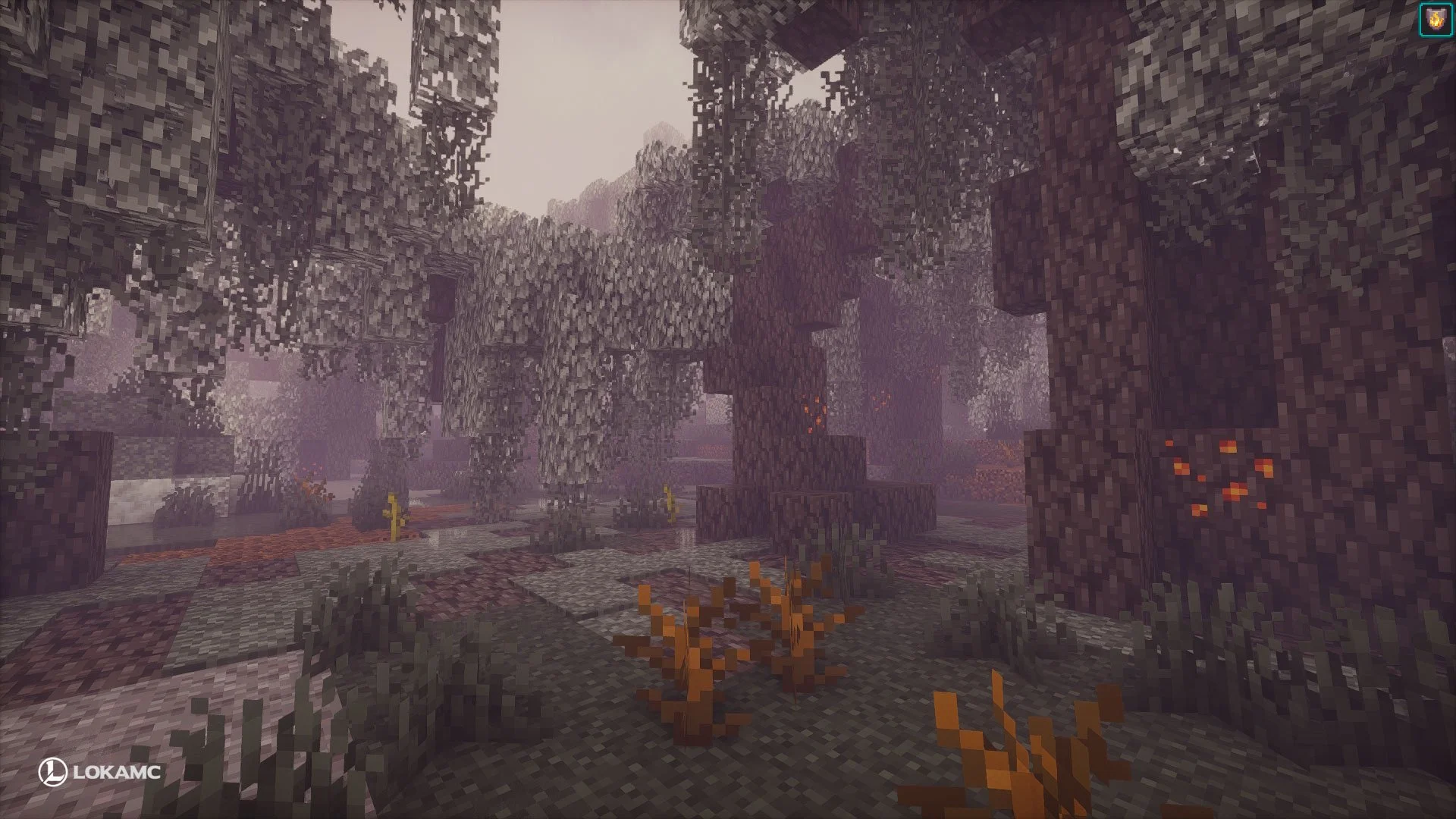 PaleReaches4.jpg