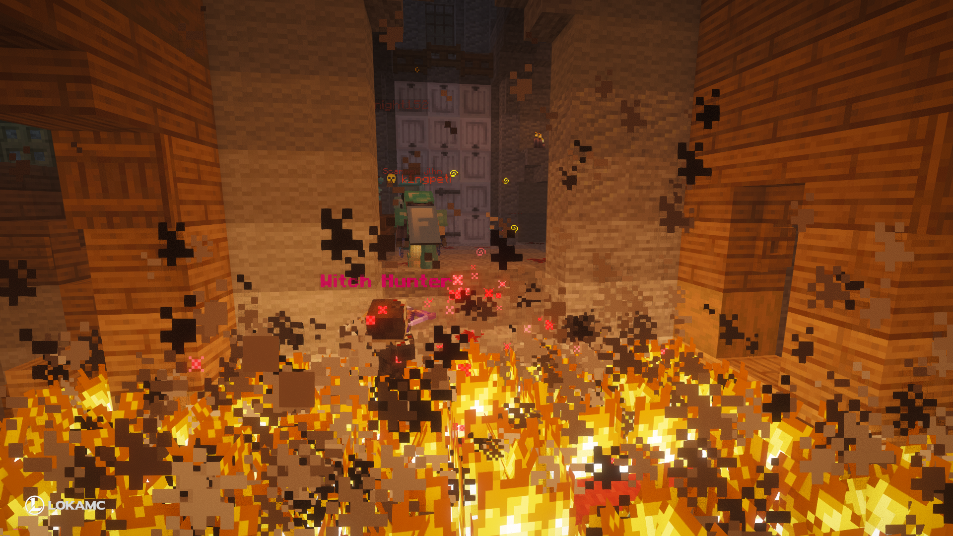 A Battle with the Witch Hunter