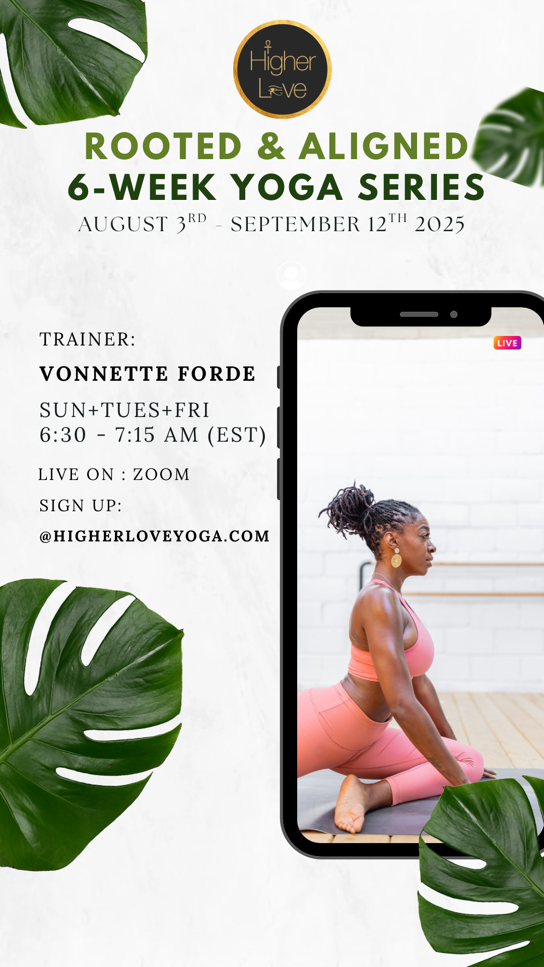 Rooted and Aligned.PNG