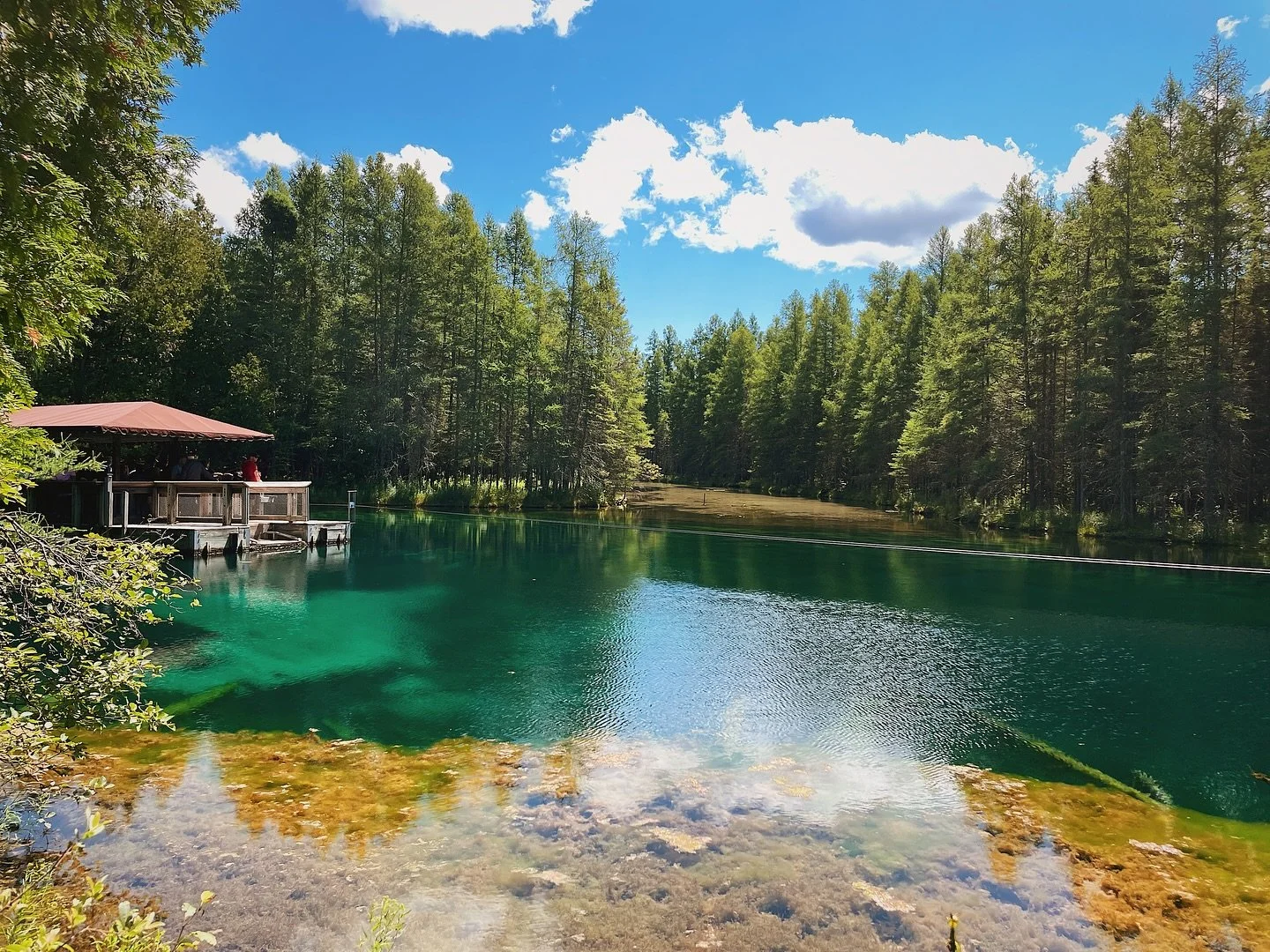 Kitch-iti-kipi ✨ aka the largest natural spring in the state of Michigan. Birthday weekend going strong ☺️