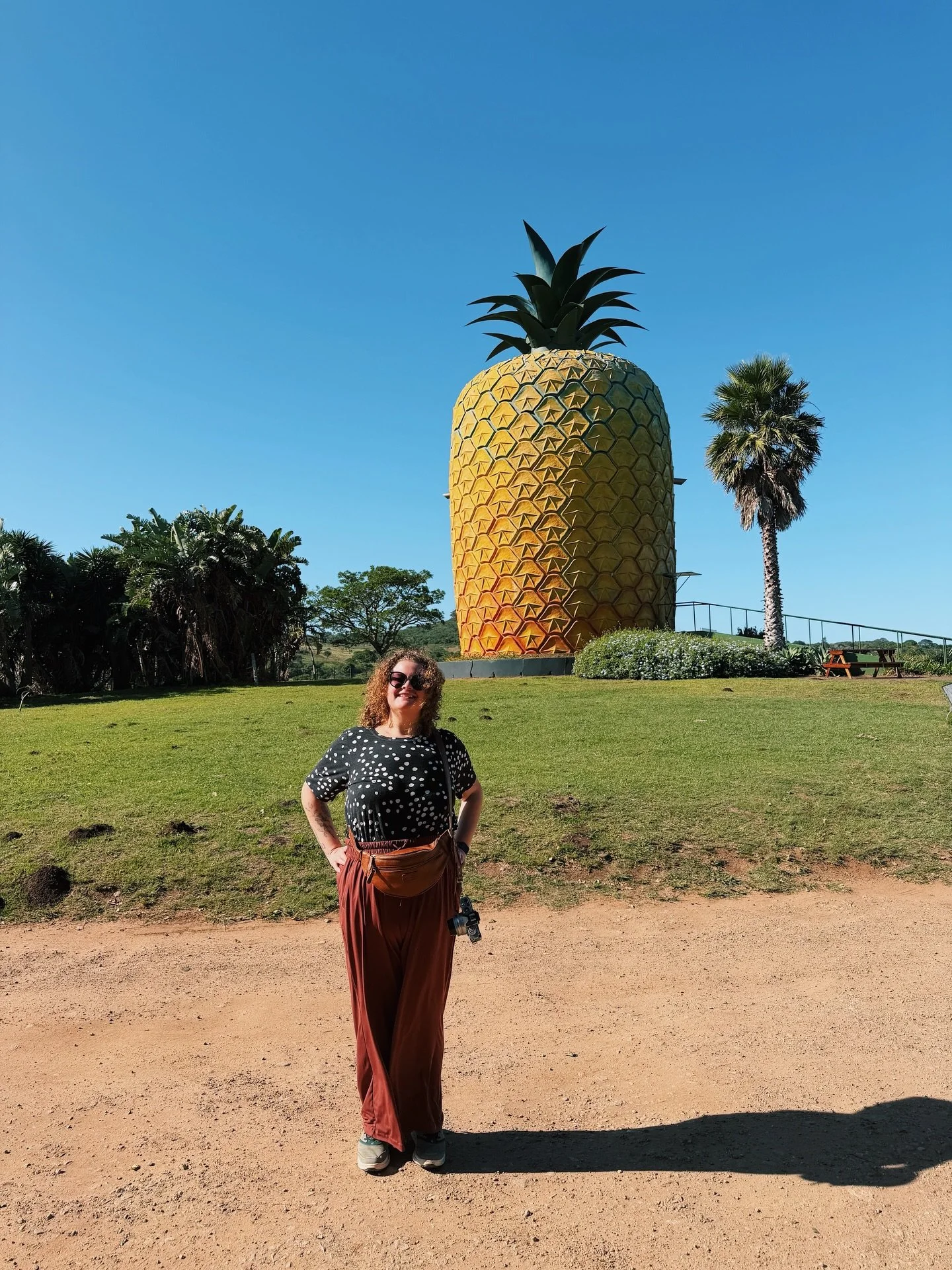 At the Big Pineapple of course 🍍