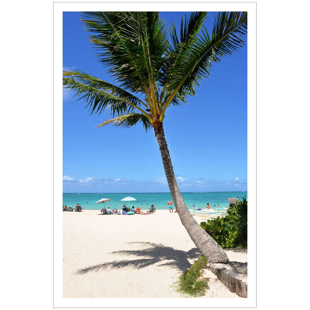 hawaii_palm_blue.jpg