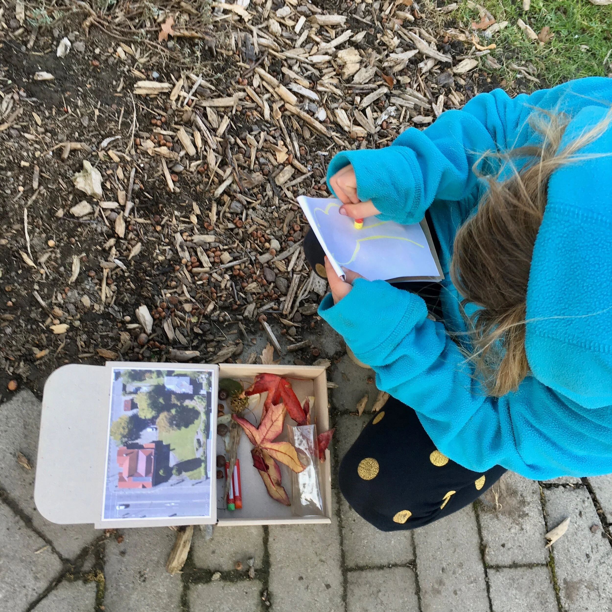 Re-imagining Doris Lusk Reserve