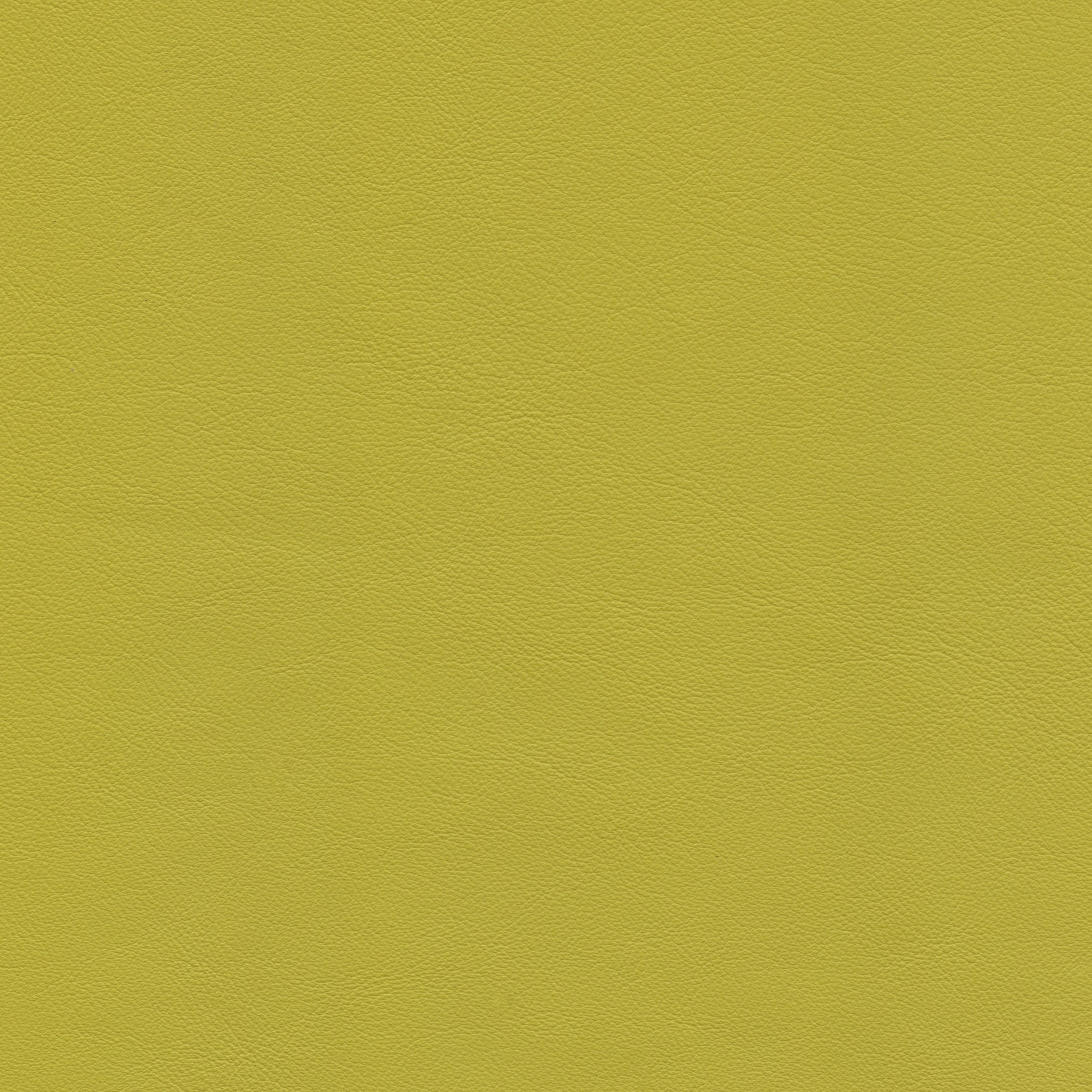 Chartreuse